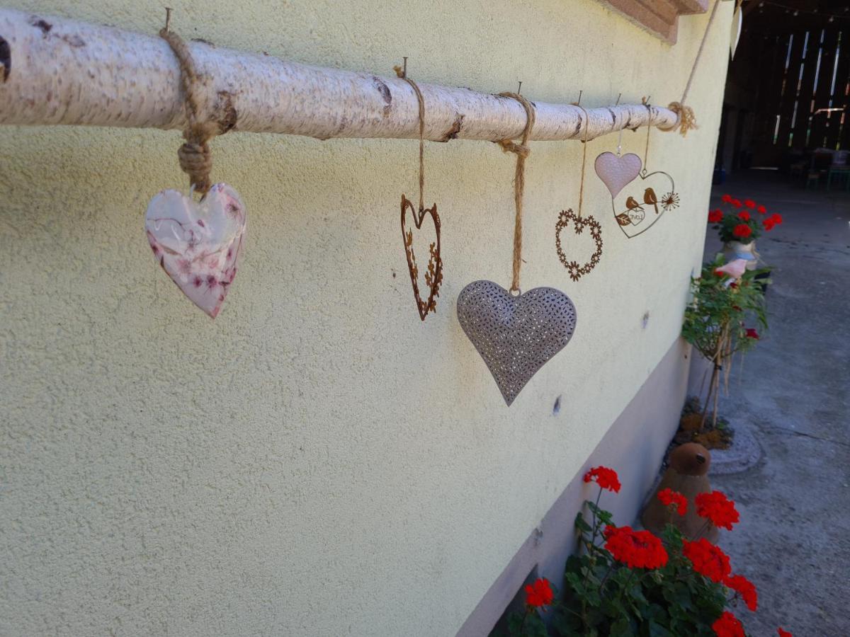 Boofzheim Gite Le Coeur D'Alsace מראה חיצוני תמונה